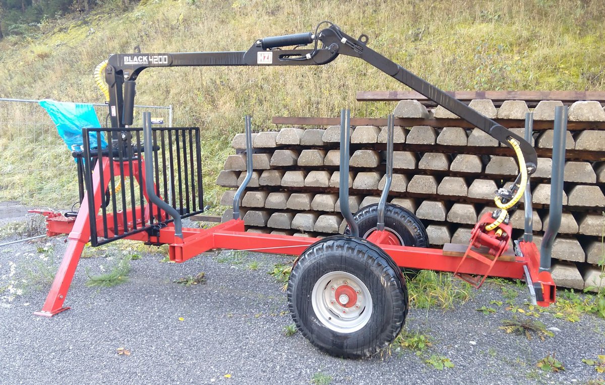 Einachs Rückewagen 5 Tonnen mit Kran BS4200 GEBRAUCHT