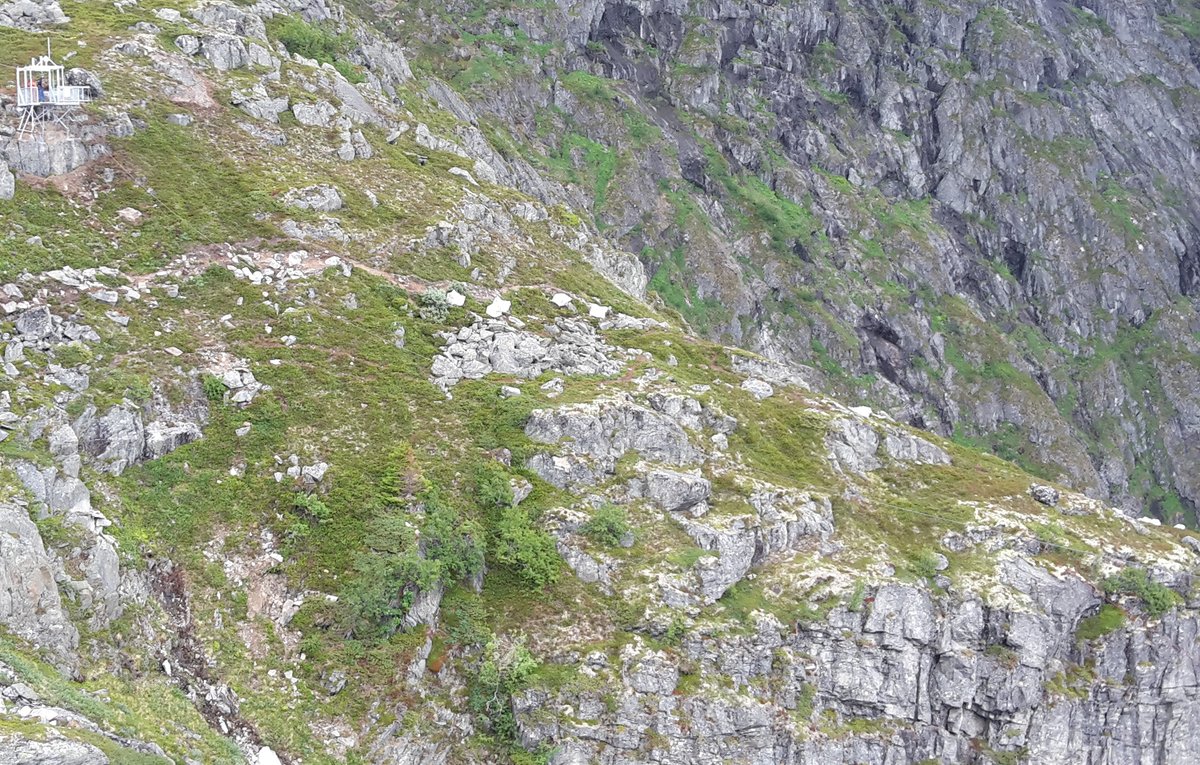 zipline-flyingfox-loen-norwegen-1500x956-web-bild2.jpg